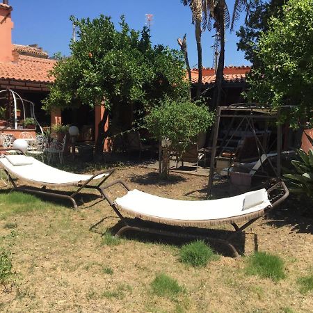 B B Casa Vacanze Il Pino Di Pino 라스카리 외부 사진