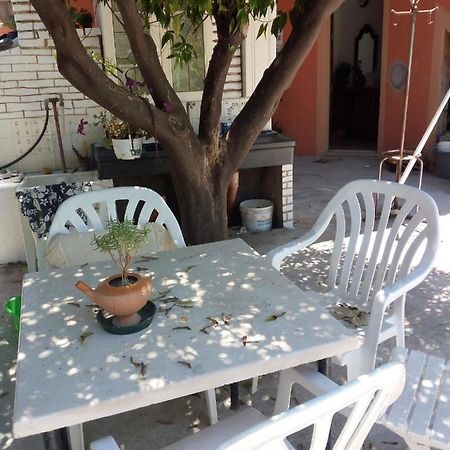 B B Casa Vacanze Il Pino Di Pino 라스카리 외부 사진