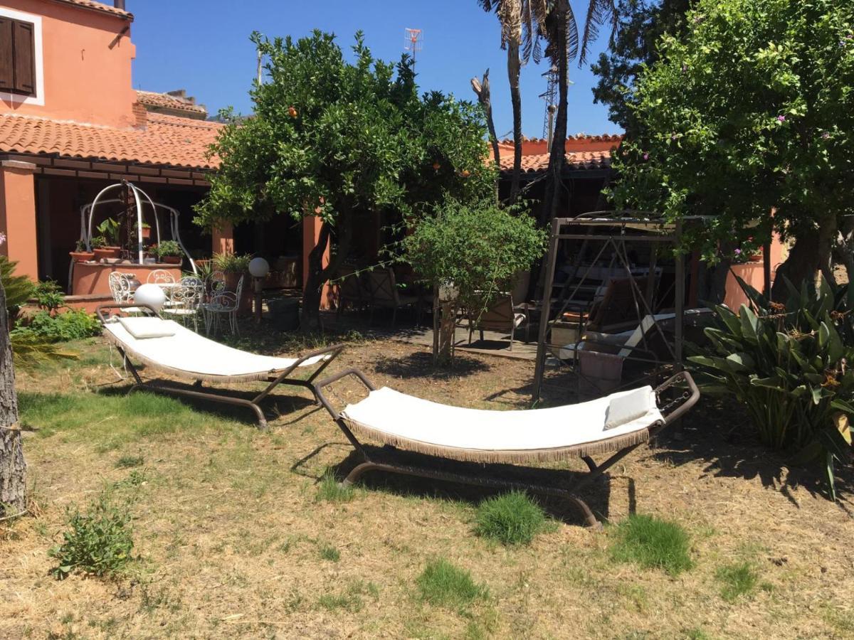 B B Casa Vacanze Il Pino Di Pino 라스카리 외부 사진