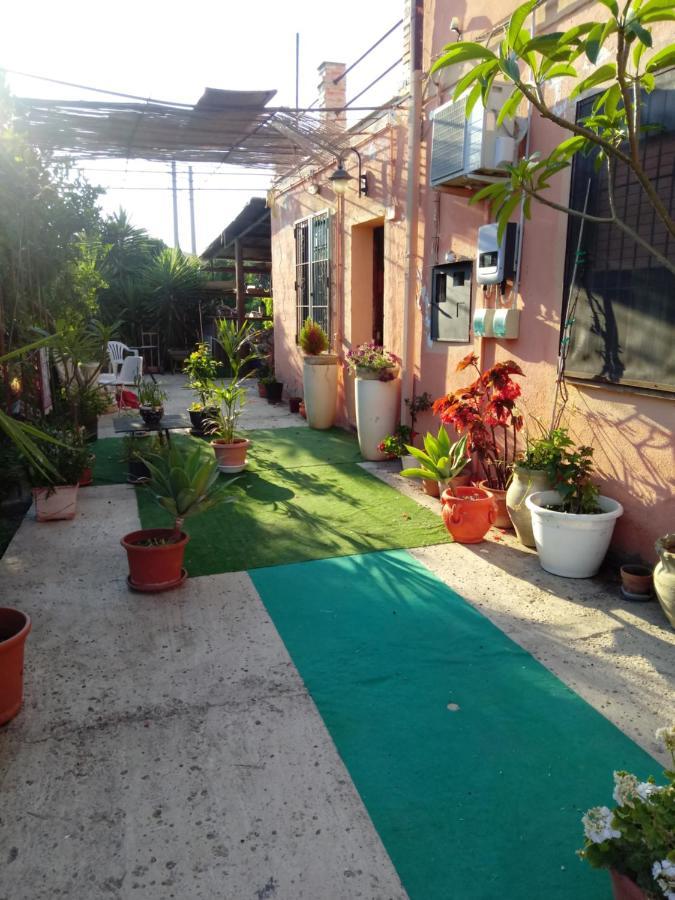 B B Casa Vacanze Il Pino Di Pino 라스카리 외부 사진