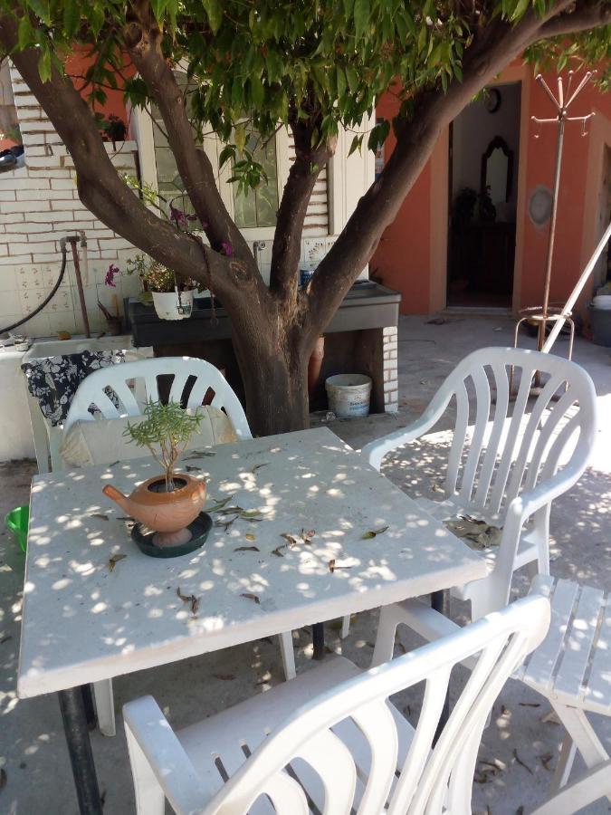 B B Casa Vacanze Il Pino Di Pino 라스카리 외부 사진